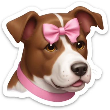 brown border collie and bull boxer mix dog with a pink bow sticker
