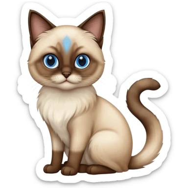 
Siamese cat: long hair fur blue eyes sticker
