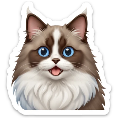 cinematic-adorable-big-eyed-fluffy-dark brown and white ragdoll-cat-portrait-emoji,-head-tilted-playfully-with-a-cute,-yawn,-soft-brown-and white-colored-fur-with-darker-points-on-the-ears,-simplified-yet-irresistibly-cute-features, sparkling blue eyes sticker