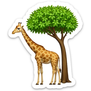 giraffe eating leaves from a tree sticker