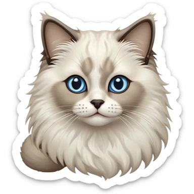 Cinematic-Fluffy-Seal-Ragdoll-Cat-Portrait-Emoji – Head tilted cutely with big, sparkling blue eyes, soft brown-and-white fur with darker seal points on the ears, face, and paws, simplified yet irresistibly adorable features, highly detailed, glowing with a soft and warm charm. sticker