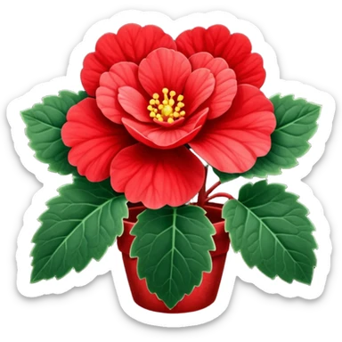 super realistic red begonia sticker