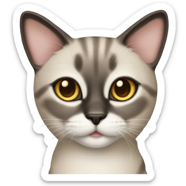Cat siamois  sticker