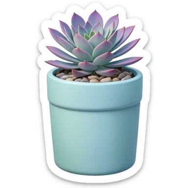 A pastel blue ceramic pot, cylindrical in shape, with a shallow rim, containing a Graptopetalum succulent plant. sticker
