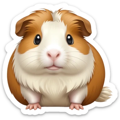 toffee and white colored guinea pig, make the toffee color lighter sticker