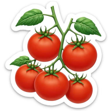 tomatoes on the vine sticker