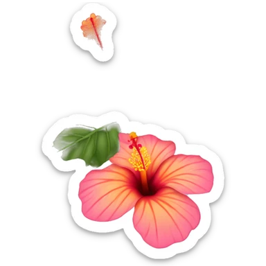 One Orange and pink hibiscus flower without leaves mostly pink sticker