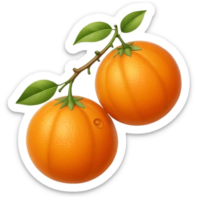 Hermès-style orange fruit, plain, no extra details, minimal emoji style sticker
