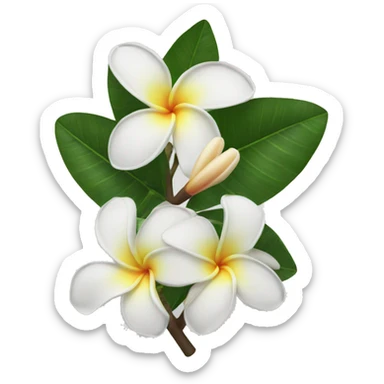White plumeria sticker