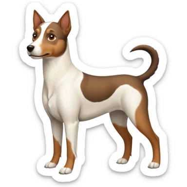a full body large white parson russell looking dog the size of a kelpie with light brown ears and a light brown patch on one eye and a large snout sticker