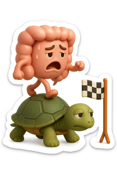  EMOJI STILE IPHONE 3D DI UN INTESTINO CON ESPRESSIONE ANGOSCIATA CHE CAMMINA SUL GUSCIO DI UNA TARTARUGA IN ATTESA ESTENUANTE DI RAGGIUNGERE UN TRAGUARDO POCO PIù AVANTI, SULLA LORO DESTRA. IL TRAGUARDO è UNA BANDIERA A DUE PIEDI CON FASCIA A SCACCHI BIANCHI E NERI. iperrealistico 4k sticker