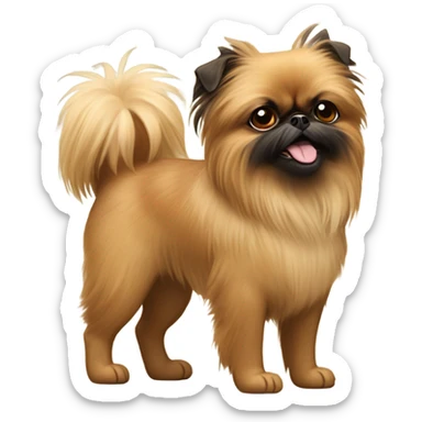 Happy Brussels Griffon mixed with Pomeranian sticker