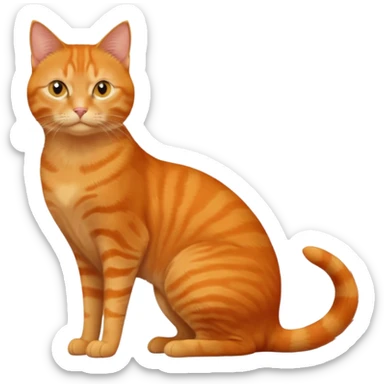 full body solid orange domestic shorthair slim cat with yellow/orange eyes sitting sticker