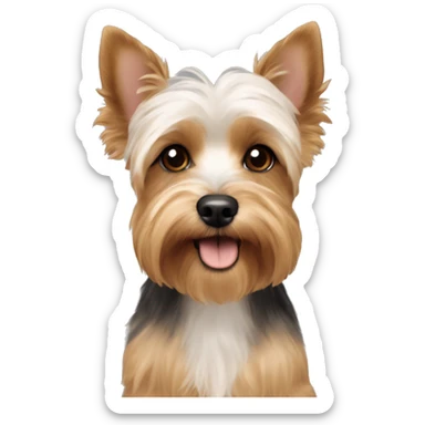 yorkie and bichon mix with long down ears  sticker