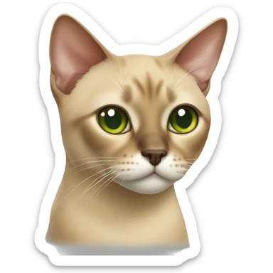 Sandy-colored Burmese cat with white and red spots on the nose with green eyes sticker