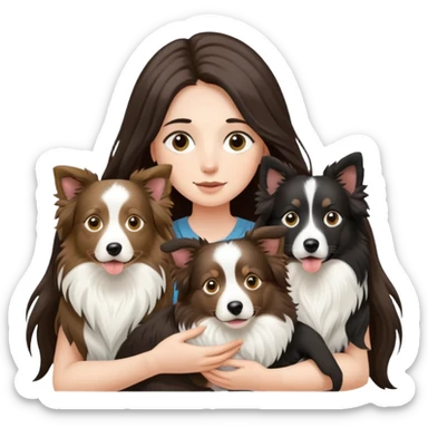A long-haired girl holding two Border Collies sticker