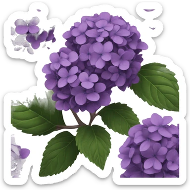 Dark plum purple hydrangea sticker