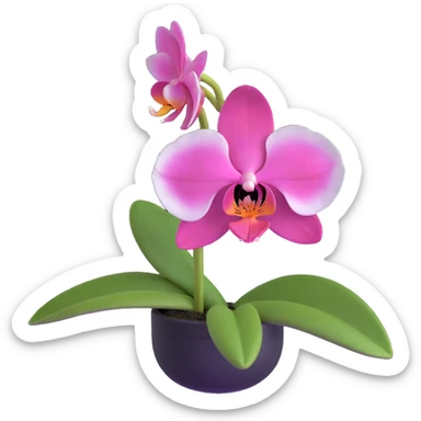 Elegant phalaenopsis moth orchid with detailed white and pink petals and green stem sticker