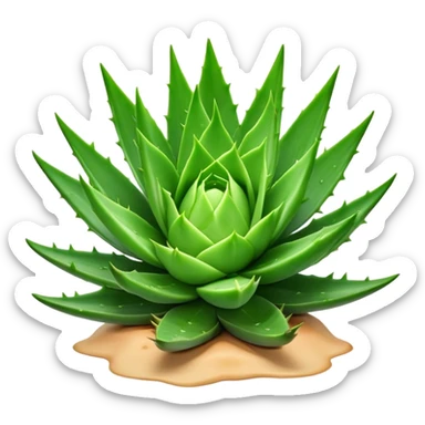 Cinematic Realistic Aloe Vera Emoji, Plump and succulent, with thick, fleshy leaves arranged in a star-like rosette. The vibrant green leaves have a slightly spiky texture, exuding a sense of resilience and healing. Soft glowing outline, capturing the essence of natural wellness and desert vitality in a flourishing aloe vera plant! sticker