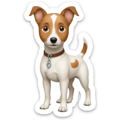 a full body white jack russel looking dog the size of a kelpie with light brown ears and a light brown patch on one eye and a large snout sticker