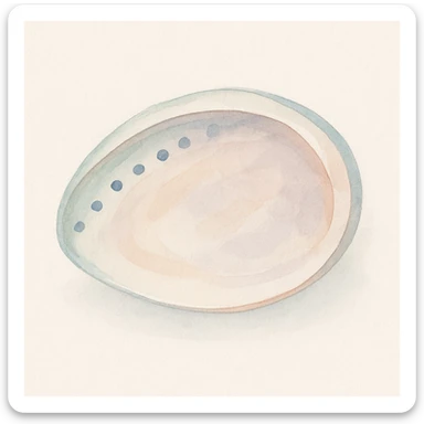 abalone watercolor illustration, soft colors, delicate brush strokes sticker