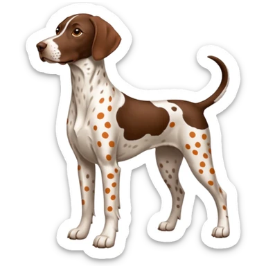 white and orange spotted german short haired pointer no tail sticker