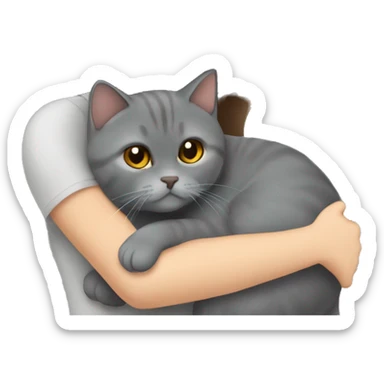 small British shorthair grey cat hugging long brown hair white woman sticker