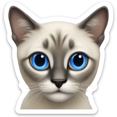 Siamois avec des yeux bleus  sticker