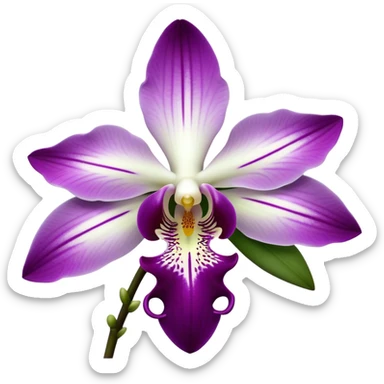 Cinematic Realistic Orchid Emoji, Exotic and elegant, with intricate, velvety petals in deep purple and white, forming a delicate and symmetrical blossom. The slender green stem holds the flower high, while surrounding leaves add lush contrast. Soft glowing outline, capturing the essence of rare beauty and sophistication in a captivating orchid. sticker