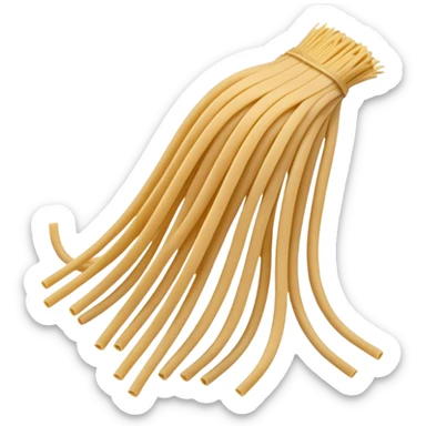 uncooked spaghetti sticker