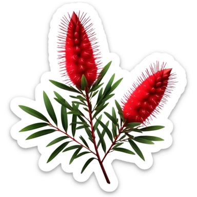 Cinematic Realistic Callistemon Emoji, Vibrant and striking, with spiky red flowers resembling a bottlebrush. The slender leaves create a fine backdrop to the bold blooms, while the plant exudes energy and vitality. Soft glowing outline, capturing the essence of strength, color, and natural beauty in a brilliant callistemon tree! sticker