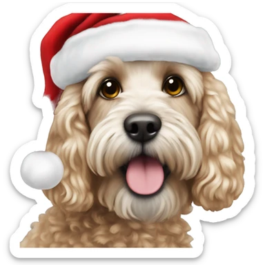 Cockapoo wearing Santa sticker