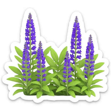 3D iOS style illustration of Salvia nemorosa, dense bush with upright purple flower spikes and green leaves, realistic and vibrant sticker