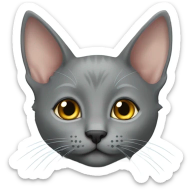 grey korat kitten with a fur mohawk on nose sticker