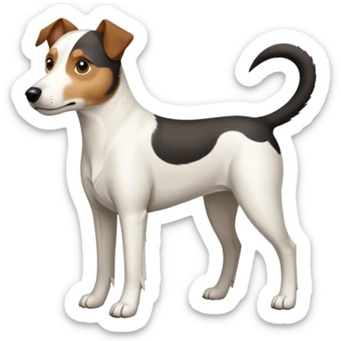 a full body large white parson russell looking dog the size of a kelpie with light brown ears and a light brown patch on one eye and a large snout sticker