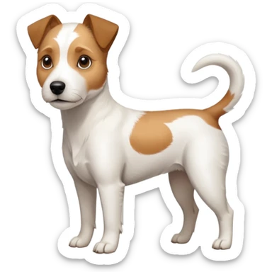 a full body slightly chubby white parson russell terrier looking dog the size of a kelpie with light brown long ears and a light brown patch on one eye and a large snout sticker