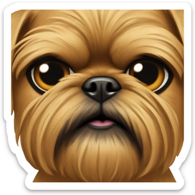Completely tan Brussels griffon with a beard and black eyes staring at camera sticker