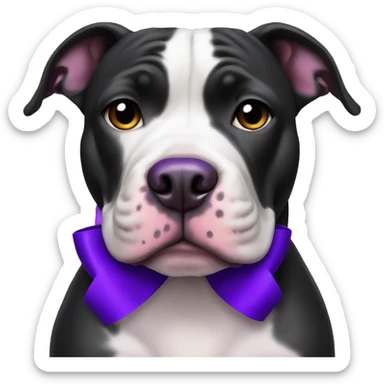 black and white pitbull with a purple bow sticker
