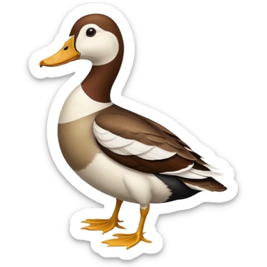Dutch Hookbill Duck sticker