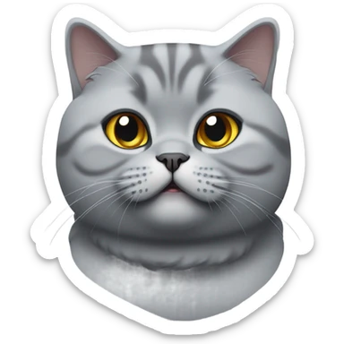 Gray British shorthair cat chubby sticker