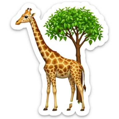 giraffe eating leaves from a tree sticker