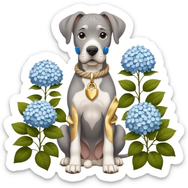 Gray Great Dane with natural ears white rope collar and rope Leash with gold accents sotting near a white hydrangea bush  sticker