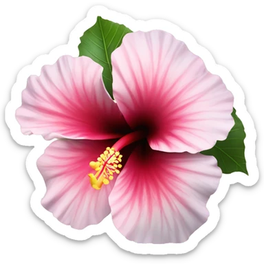 enchanting hibiscus flower that looks special but very pretty sticker