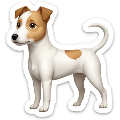 a full body slightly chubby white parson russell terrier looking dog the size of a kelpie with light brown long ears and a light brown patch on one eye and a large snout. the rest of the dog is completely whiteforward facing sticker