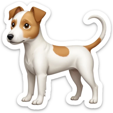 a full body slightly chubby white parson russell terrier looking dog the size of a kelpie with light brown long ears and a light brown patch on one eye and a large snout. the rest of the dog is completely whiteforward facing sticker