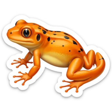 Newt, Amphibian. sticker