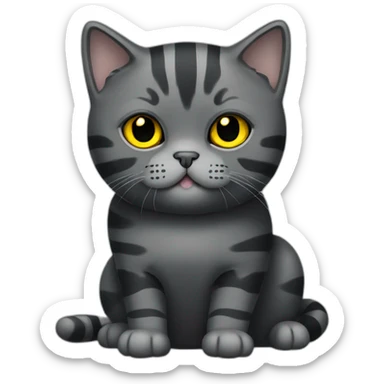 british shorthair cat in the Color black smoke with stripes and yellow eyes sticker