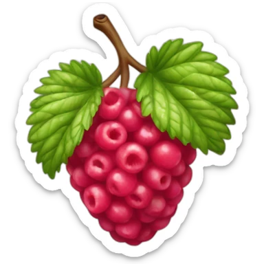 Rasberry rés sticker