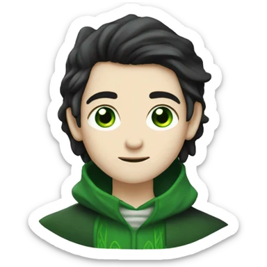 teenage white-skinned wizard with black hair green eyes in green disgue sticker