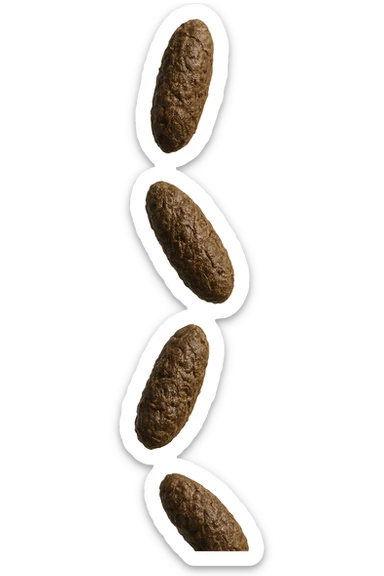 FECI DI ANIMALE A PALLINE UN PO' ALLUNGATE CADONO DALL'ALTO VERTICALMENTE, IPERREALISTICO 4K sticker